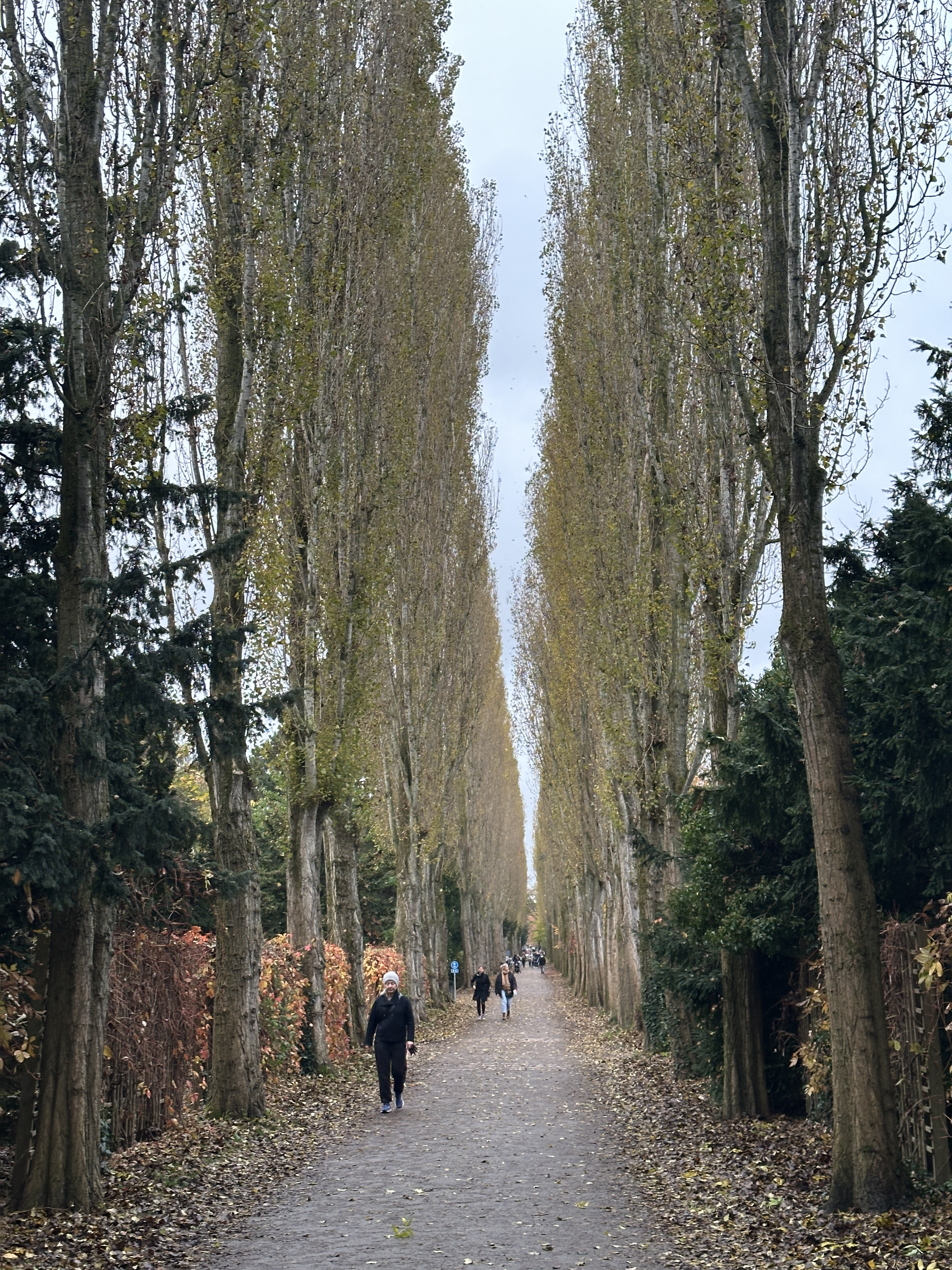 Chris Gruschow '26 visited the Assistens Cemetery in Copenhagen, Denmark. Photo provided by Gruschow